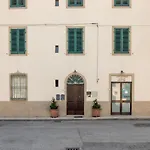 Stella